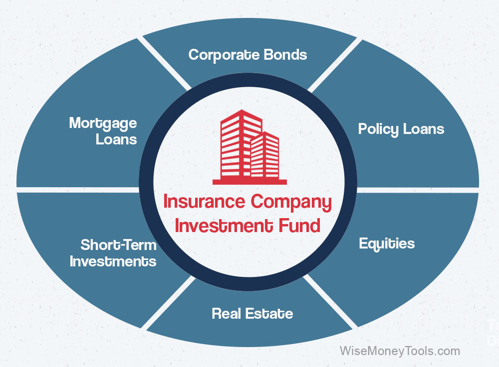 Whole Life Insurance Company Investment Account Breakdown